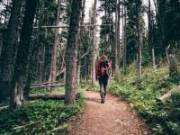 Lacez vos bottes de randonnée, respirez l'air de la forêt