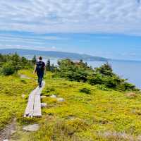 Hiking the East Coast Trail offers sweeping views of the Atlantic Ocean | Sue Badyari