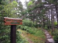 Le sentier traverse la forêt boréale. |  <i>Chantel Keogh</i>