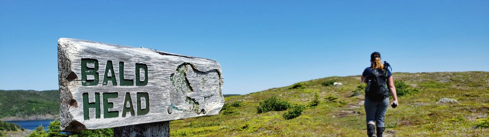 Belle journée pour une randonnée sur l'East Coast Trail |  <i>Sherry Ott</i>