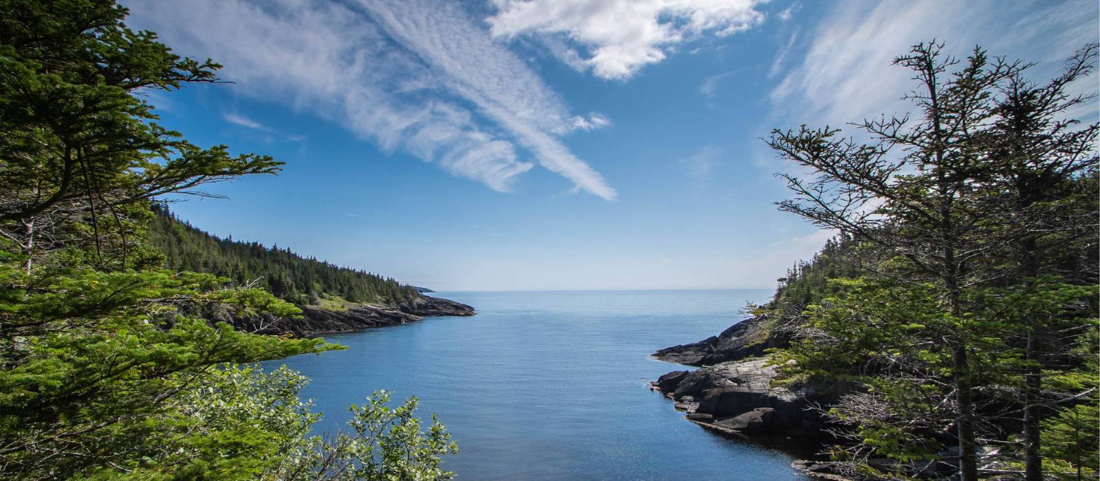 A wilderness path along Newfoundlan’s Avalon Peninsula | Sherry Ott