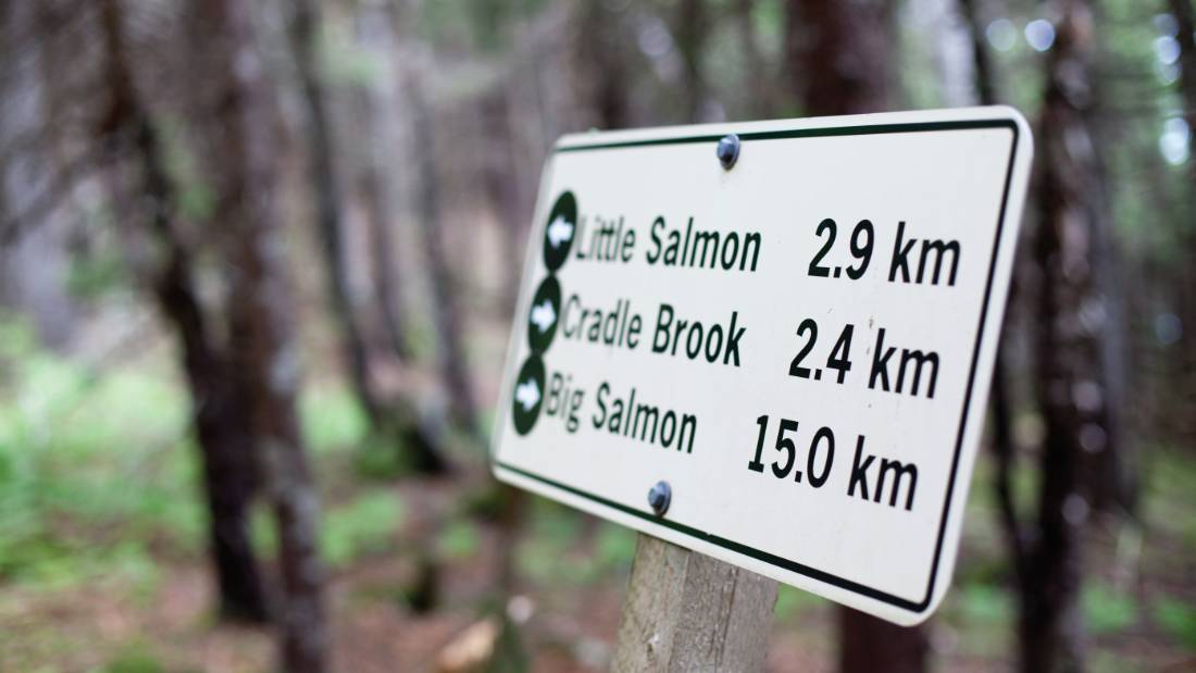 Panneau de signalisation sur le Fundy Foothpath |  <i>Guy Wilkinson</i>