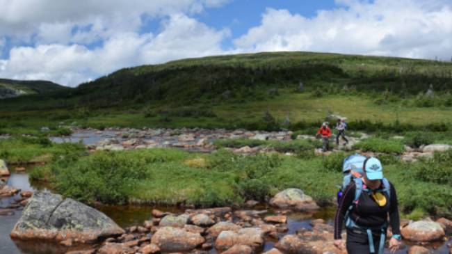 Plenty of pretty river crossings as we traverse the Long Range Mountains