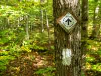 Balise indiquant la direction à suivre sur le sentier Bruce |  Pete Heck