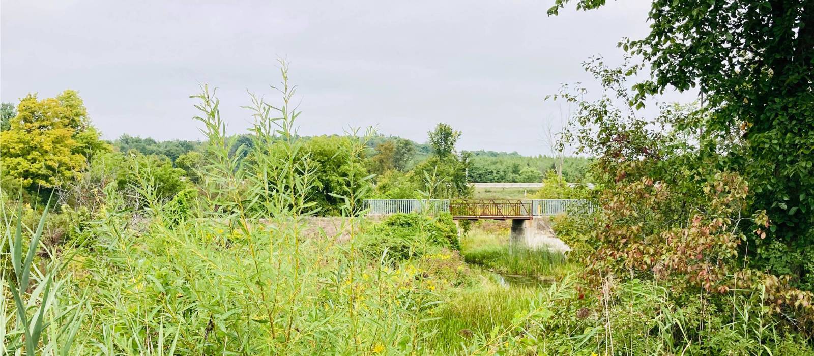 The trail brings you to beautiful rural landscapes | Caroline Mongrain