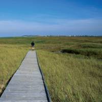 Walking on the Barachois trail on Magdalen Islands | Louise Mondoux