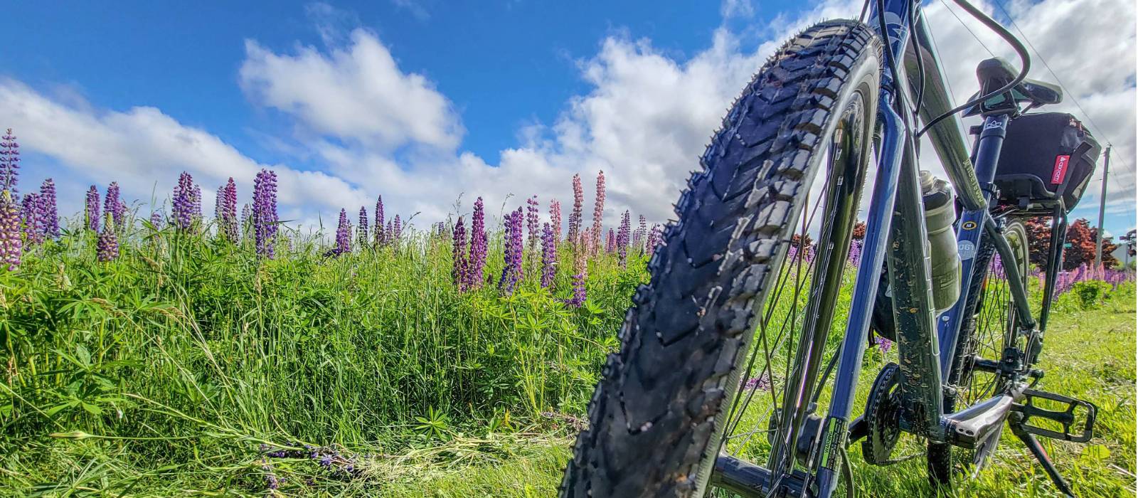 Hybrid bikes are ideal for the mixed terrain from the Confederation Trail to the Gulf Shore Way | Sherry Ott