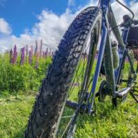 Hybrid bikes are ideal for the mixed terrain from the Confederation Trail to the Gulf Shore Way | Sherry Ott