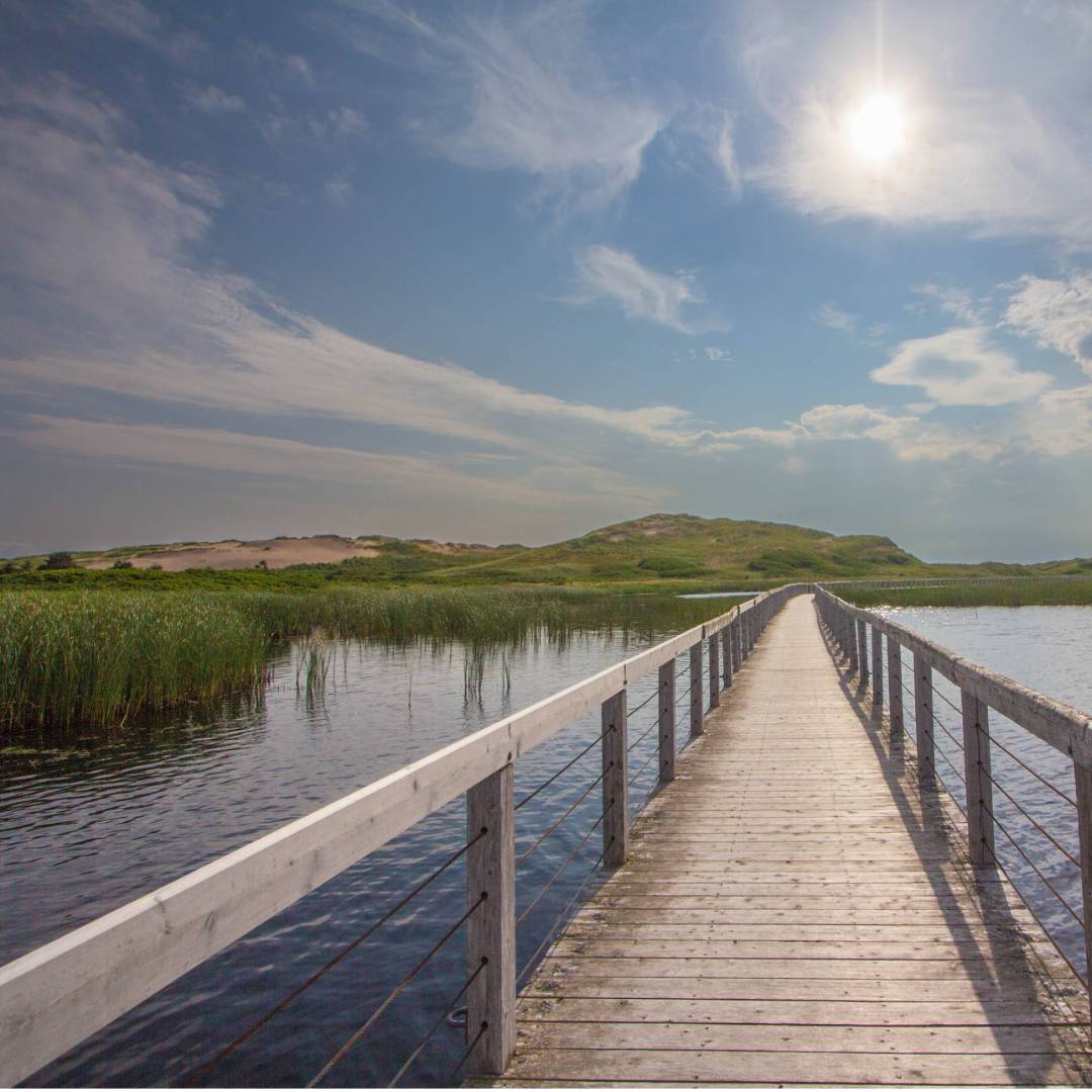 Take a stroll on this floating boardwalk to a quiet white sand beach | Sherry Ott