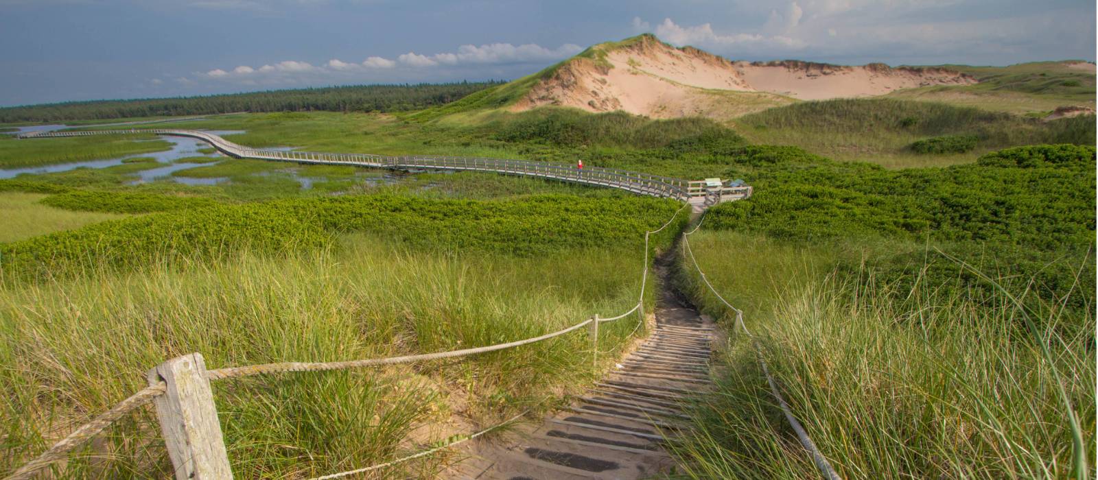 Hike along the sand dunes in Prince Edward Island National Park | Sherry Ott
