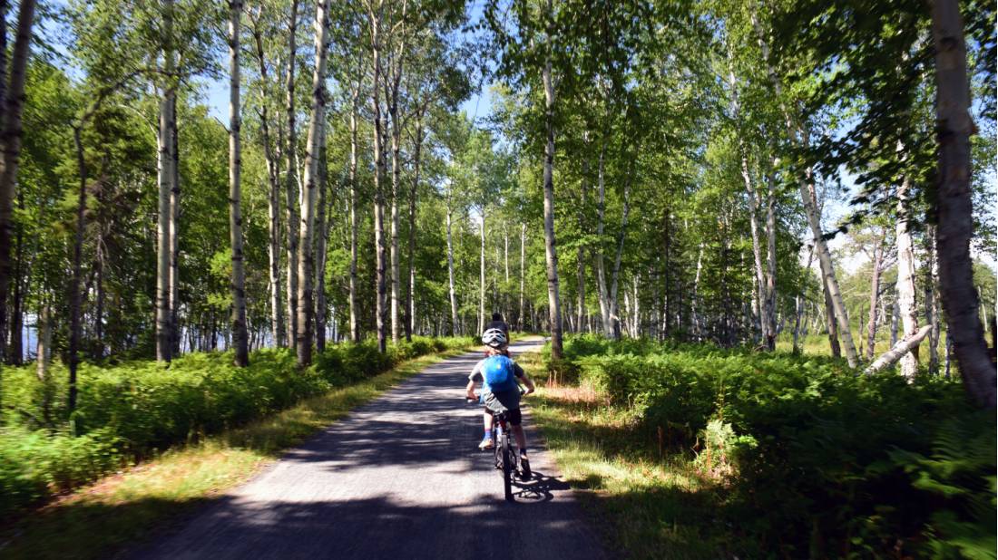 Un enfant qui s'amuse à vélo dans le Parc Pointe-Taillon |  <i>Nathalie Gauthier</i>