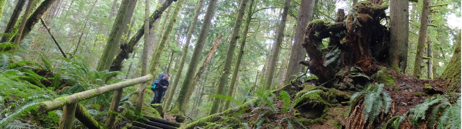 Réduisez votre empreinte écologique lors de votre prochaine aventure